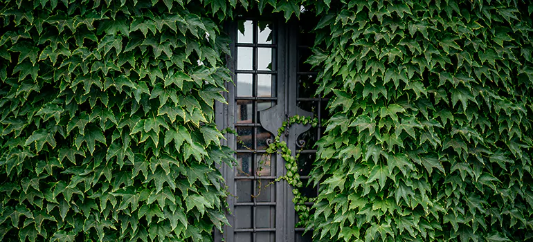Garden Gate Repair in West Palm Beach, FL