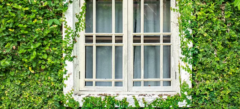 Garden Window Repair Near Me in West Palm Beach, FL
